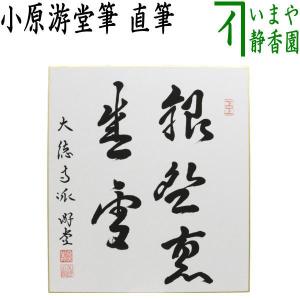 茶道具 抹茶茶碗 乾山写 万両 浅野紫仙作 山崎窯 乾山写し 茶道