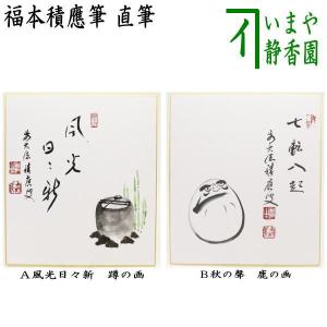 茶道具 色紙画賛 直筆 風光日々新 蹲の画又は七転八起 達磨の画 福本積應筆 今尾孝子画 蹲 七転八起 達磨｜imaya-storo