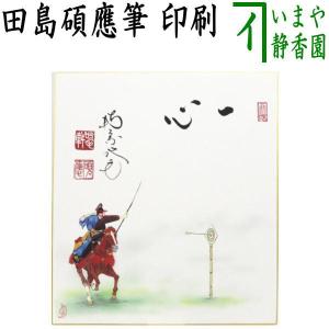 Ｔ４７３　茶碗　『赤絵　茶碗』『冬柴文廣 造』　共箱　抹茶碗　茶道具 T473 茶碗 『赤絵 茶碗』『冬柴文廣 造』 共箱 抹茶碗