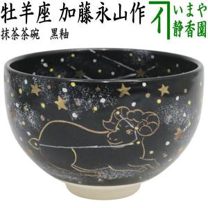 茶道具 抹茶茶碗 乾山写し 桜 鵬雲斎書付 和田桐山作 琴浦窯 乾山写