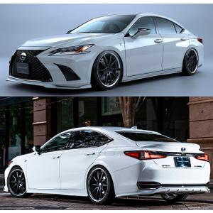 RSR RS-Rダウンサス レクサスES300h AXZH11/FF R2/8〜R3/7 F