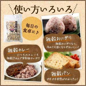 雑穀米 雑穀十八選 900g 雑穀 もち麦 送...の詳細画像1