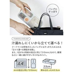 シービージャパン 弁当箱 抗菌 ライトグレー ...の詳細画像2