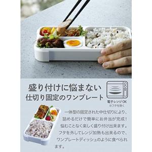 シービージャパン 弁当箱 抗菌 ライトグレー ...の詳細画像3