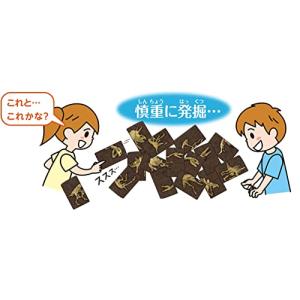 くもん出版 恐竜化石発掘カードゲームの詳細画像4