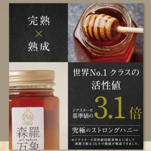 森羅万象 はちみつ 600g 天山蜂蜜 完熟 ...の詳細画像2