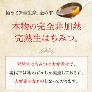 森羅万象 はちみつ 600g 天山蜂蜜 完熟 ...の詳細画像3