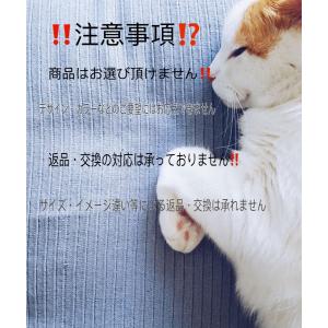 福袋 レディース 福袋 水着 1点入りビーチセ...の詳細画像4