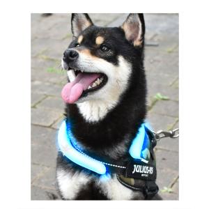 ★最新改良PCM素材★ ペット用 猫 犬用 小...の詳細画像2