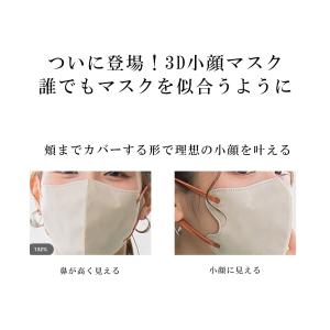 【夏向け通気性改良】マスク 20枚 3dマスク...の詳細画像5