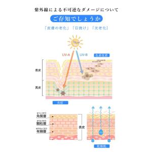 ＼2024新改良日傘/130g 日傘 6本骨 ...の詳細画像3