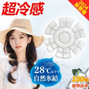 【2024夏新型・瞬間冷感】頭部冷却 PCMアイスキャップマット 冷却帽子パッド 暑さ対策 冷感 頭 冷却 帽子 保冷剤 自然凍結 接触冷感 繰り返し使用 男女兼用 通勤