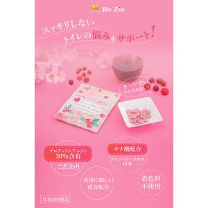 爆買 BeeZin クランベリーサプリ 桜の花...の詳細画像1