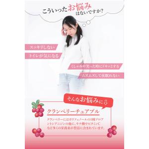 爆買 BeeZin クランベリーサプリ 桜の花...の詳細画像2