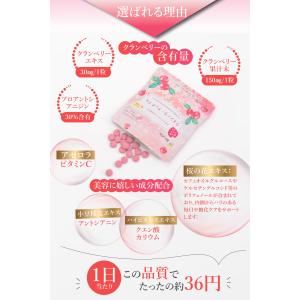 爆買 BeeZin クランベリーサプリ 桜の花...の詳細画像3