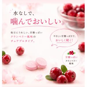 爆買 BeeZin クランベリーサプリ 桜の花...の詳細画像3