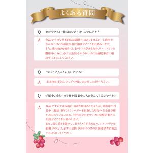 爆買 BeeZin クランベリーサプリ 桜の花...の詳細画像5