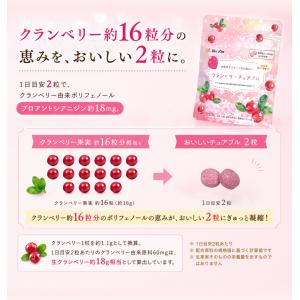 爆買 BeeZin クランベリーサプリ 桜の花...の詳細画像5