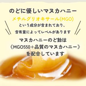 超PayPay祭 BeeZin マヌカハニーの...の詳細画像4