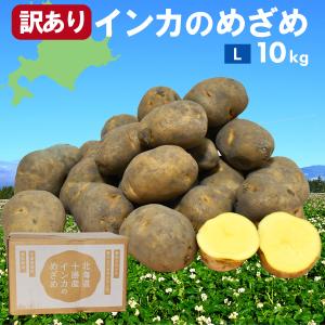 販売　北海道十勝産 インカのめざめ  Lサイズ10kg箱　九州、沖縄、北海道は別途送料