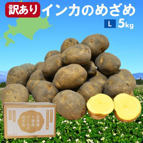 じゃがいも 訳あり 北海道 十勝産 インカのめざめ 10kg M〜2Lサイズ 野菜 ジャガイモ