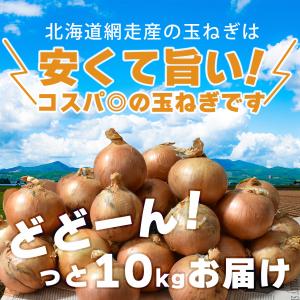 北海道網走産玉葱10kg 小玉 L L大 2L...の詳細画像1