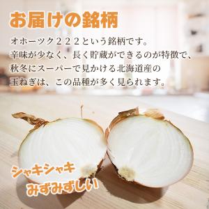 北海道網走産玉葱10kg 小玉 L L大 2L...の詳細画像2