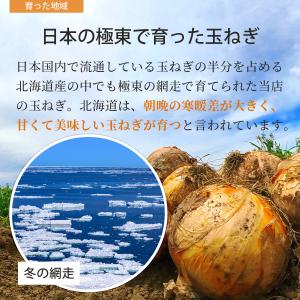 北海道網走産玉葱10kg 小玉 L L大 2L...の詳細画像3