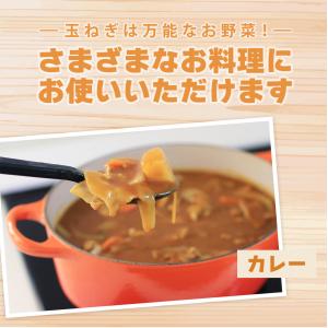 北海道網走産玉葱10kg 小玉 L L大 2L...の詳細画像4