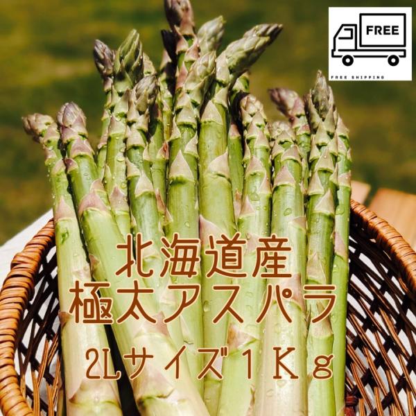 【送料無料】【大容量】 北海道産グリーンアスパラ アスパラガス ２Lサイズ１ｋｇ  お取り寄せ グリ...