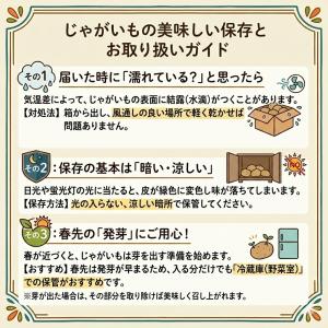 選べるじゃがいも 北海道産 男爵・キタアカリ ...の詳細画像4