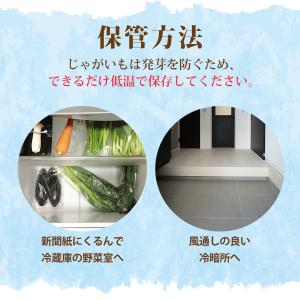 選べるじゃがいも 北海道産 男爵・キタアカリ ...の詳細画像3