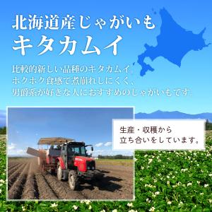 北海道産 じゃがいも キタカムイ 10kgの詳細画像1