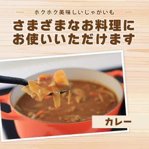 北海道産 じゃがいも キタカムイ 10kgの詳細画像5