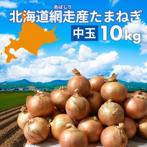 玉ねぎ 10kg 中玉サイズ  北海道 網走産 野菜 まとめ買い 送料無料