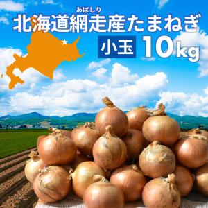 玉ねぎ 10kg 小玉 S-Mサイズ  北海道 網走産 野菜 まとめ買い 送料無料