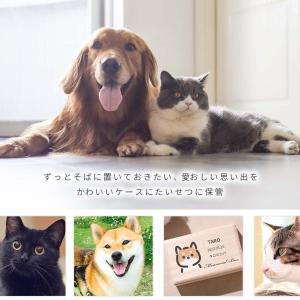 送料無料 名入れ無料 ペット用 メモリアルケー...の詳細画像1