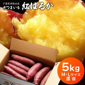 さつまいも 紅はるか 5kg M・Lサイズ 送料無料 サツマイモ さつま芋 千葉県産 国産 こちらの商品は 訳あり ではなくA品です。｜imokichi
