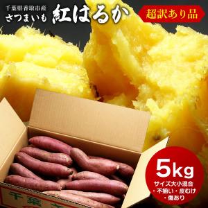 超訳あり さつまいも 紅はるか 5kg 送料無料 サツマイモ さつま芋 千葉県産 国産　※甘さ控えめでホクホク系のものが混じります。｜imokichi