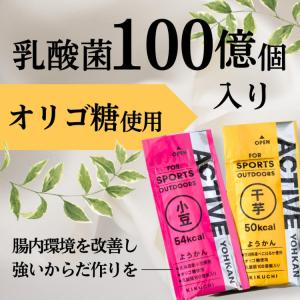 夏ギフト お中元 2026 スポーツ系ようかん...の詳細画像2