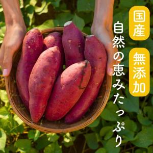 夏ギフト お中元 干し芋 国産 訳あり 紅はる...の詳細画像4