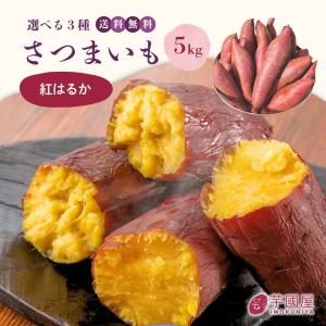 新芋　サツマイモ　おすすめ　芋　26 Amazon | 【新芋】紅はるか 5kg 土付き 生芋 (M～2Lサイズ混合
