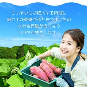 夏ギフト お中元 シロタ 国産 訳あり 900...の詳細画像4