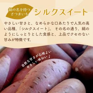 夏ギフト お中元 【新発売】干し芋 400g ...の詳細画像4
