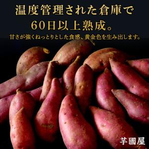 夏ギフト お中元 冷やし焼き芋 冷凍 焼き芋 ...の詳細画像2