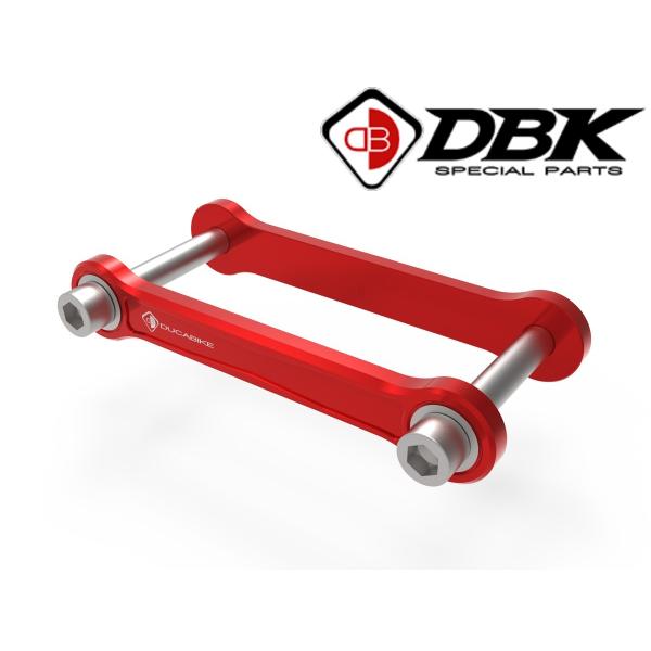 【正規輸入代理店】DUCABIKE (DBK) - リンクプレート PANIGALE V4 / S ...