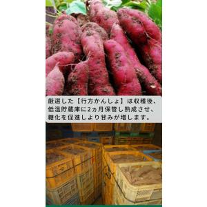 芋屋はしもと 訳あり8kg 冷凍焼き芋 紅はる...の詳細画像3