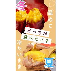 芋屋はしもと 訳あり8kg 冷凍焼き芋 紅はる...の詳細画像4