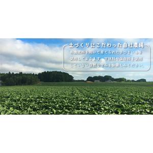 【高額転売品にご注意ください】茨城県産 紅はる...の詳細画像3