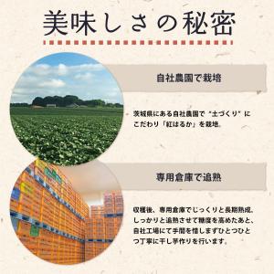 干し芋 紅はるか 1kg箱 お徳用 無選別 バ...の詳細画像4